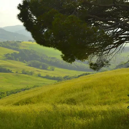 In A Wonderful Medieval Village On The Tuscan Hills, With Air Conditioning Holiday home Montecastelli Pisano