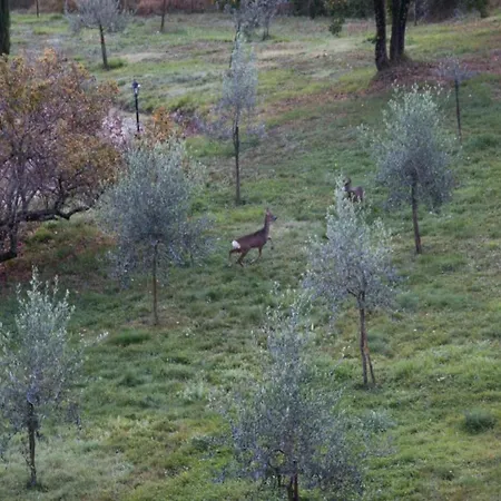 In A Wonderful Medieval Village On The Tuscan Hills, With Air Conditioning Holiday home