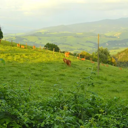 In A Wonderful Medieval Village On The Tuscan Hills, With Air Conditioning Holiday home Montecastelli Pisano